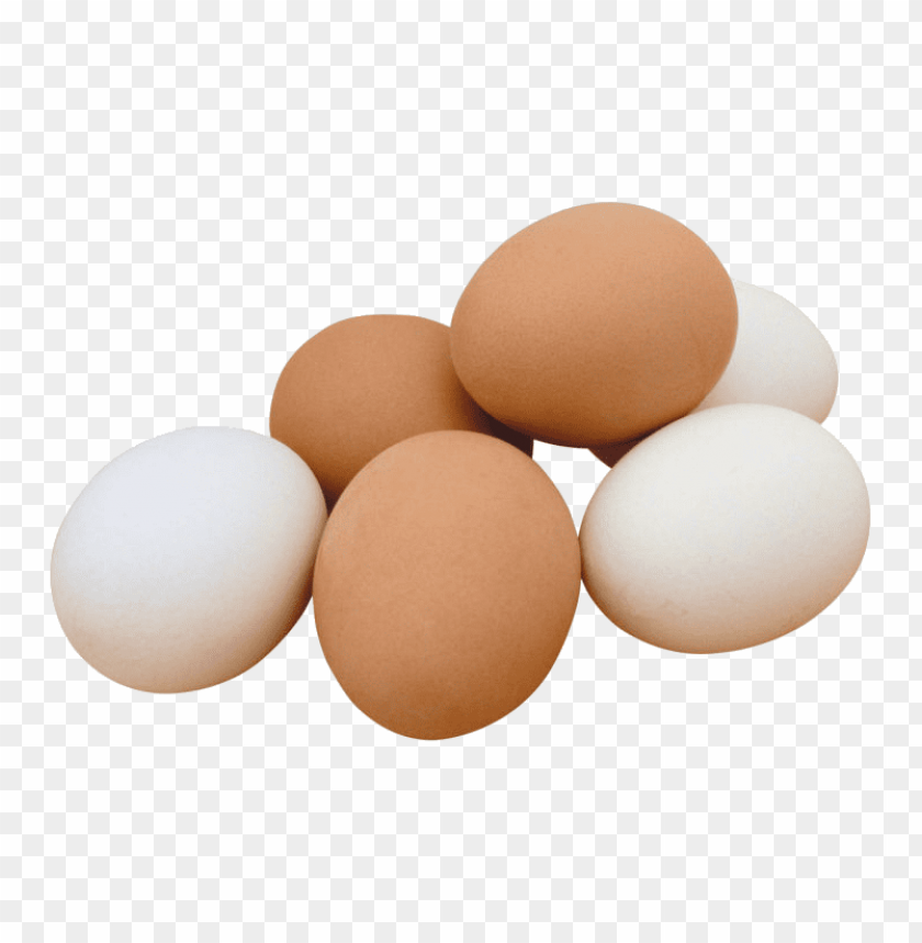 egg png, png,egg