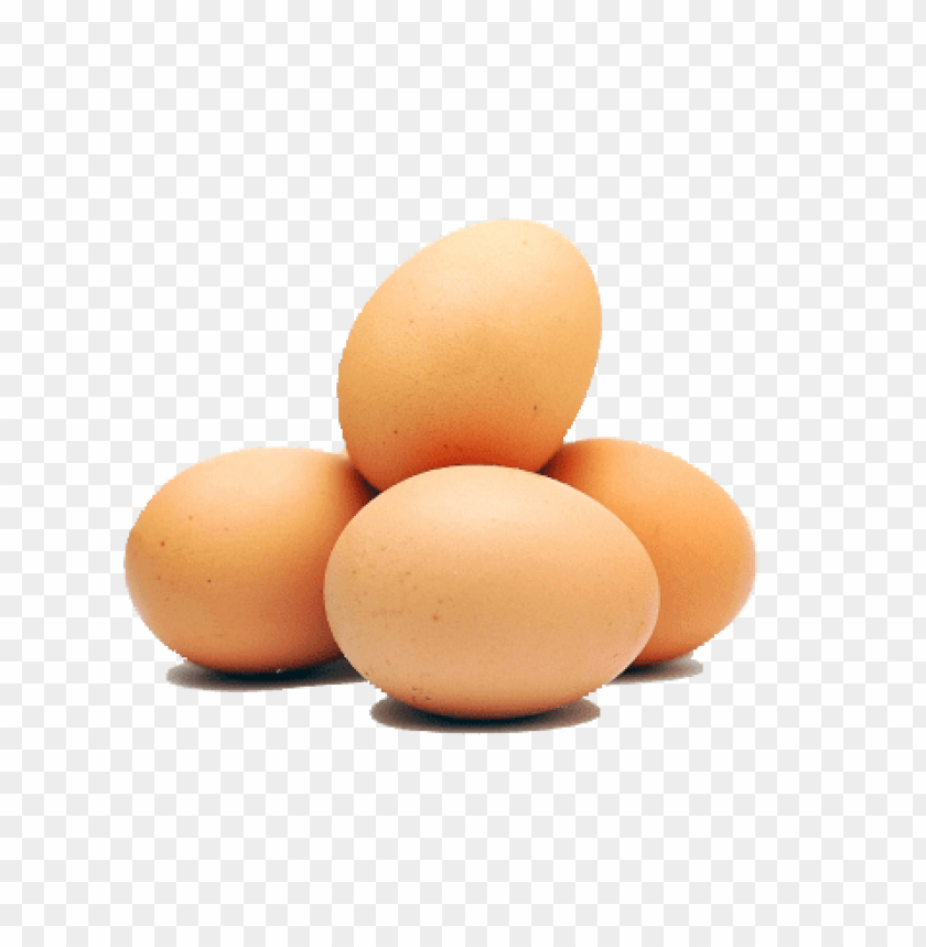 egg png, png,egg