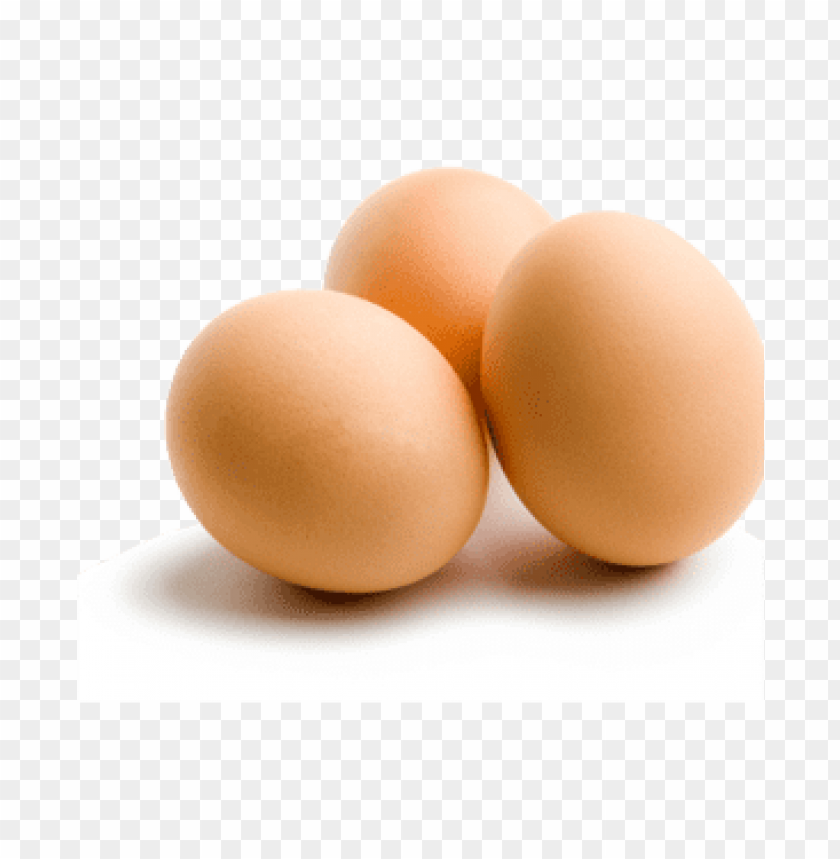 egg png, png,egg