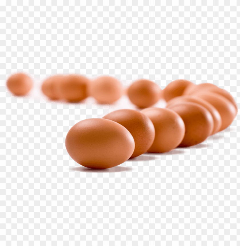 egg png, png,egg