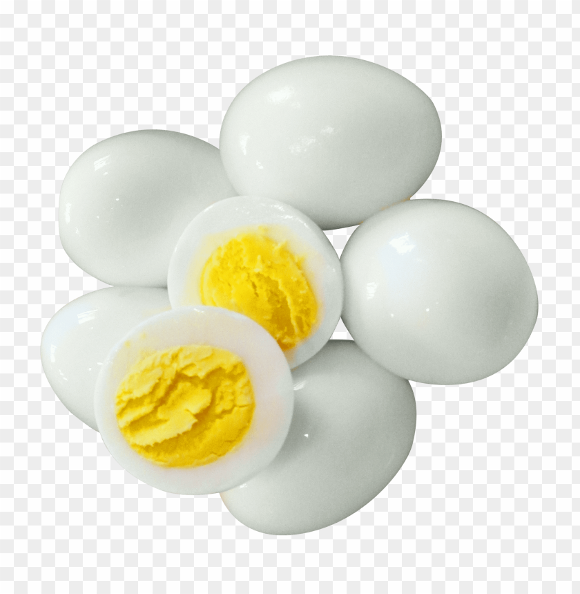 egg png, png,egg