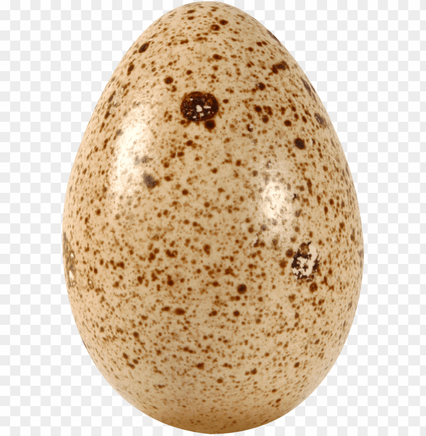 egg png, png,egg