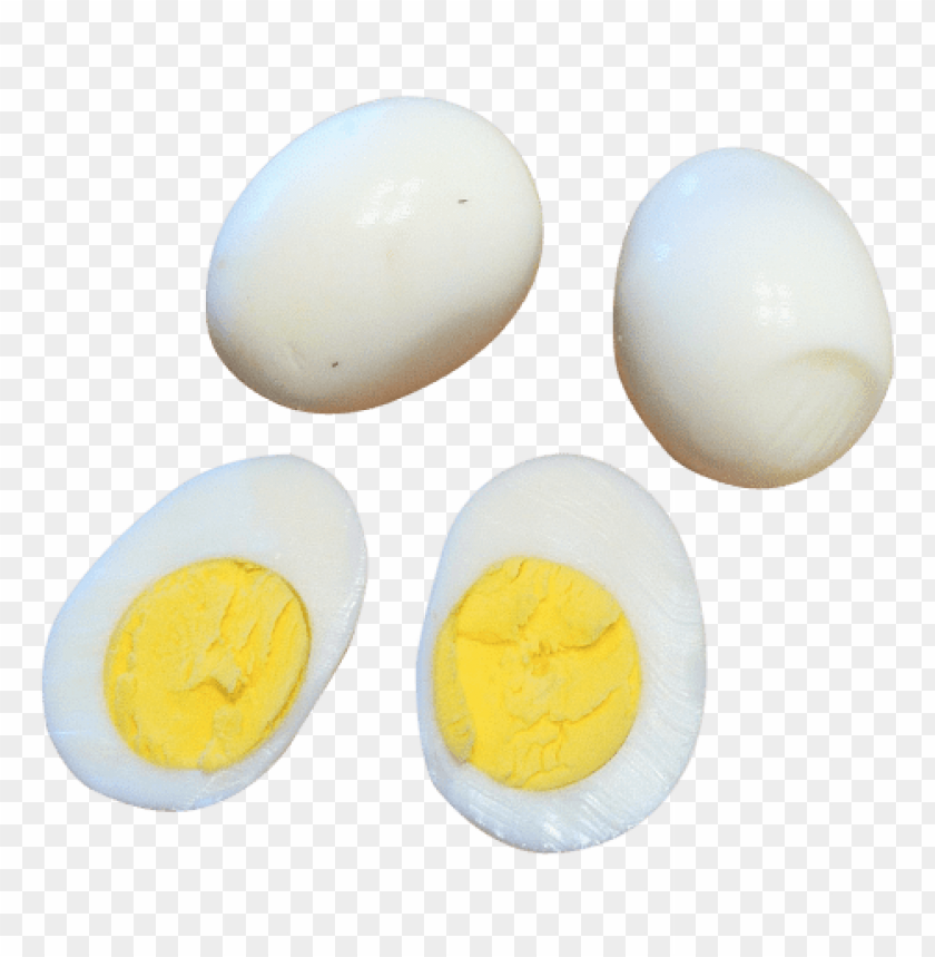 egg png, png,egg