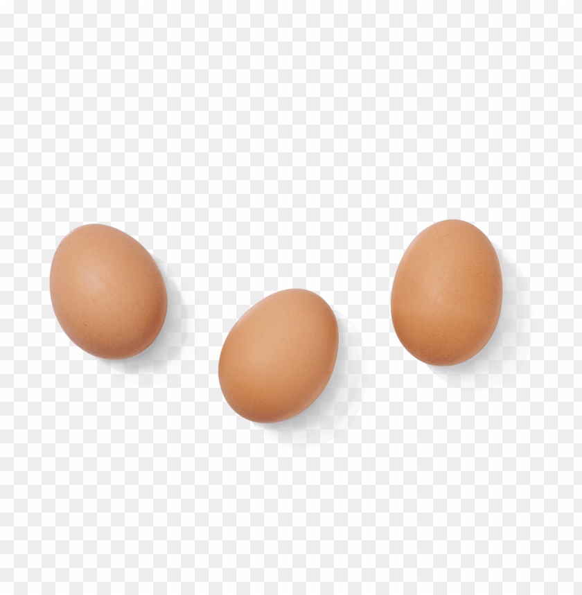 egg png, png,egg