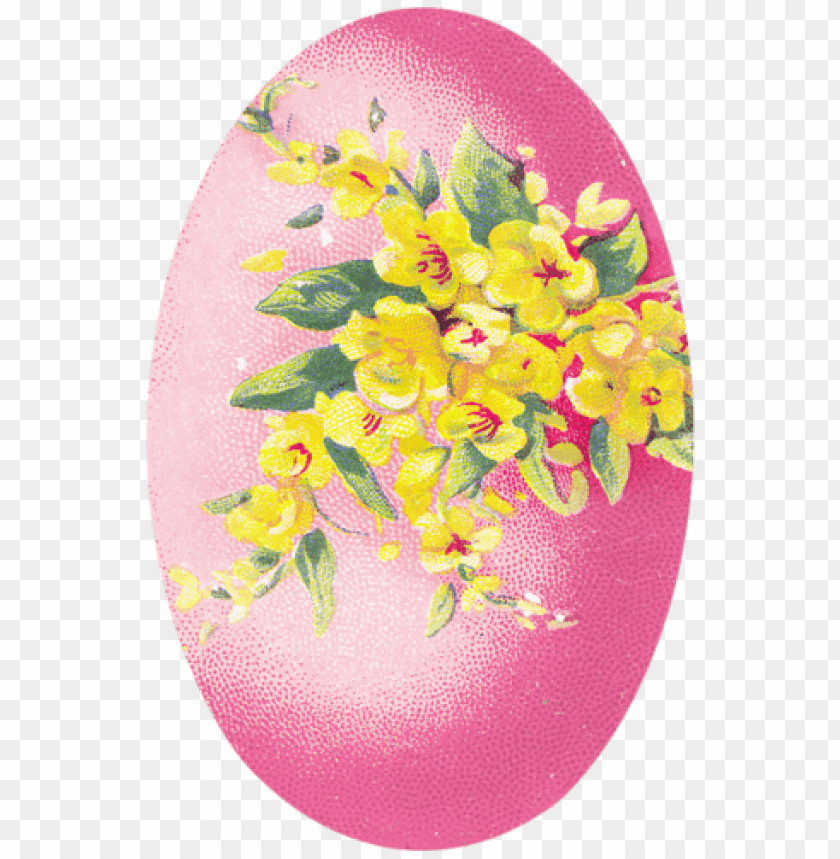 eggs,eggs free png,eggs png free,eggs png free,eggs free png,eggs png,eggs images png