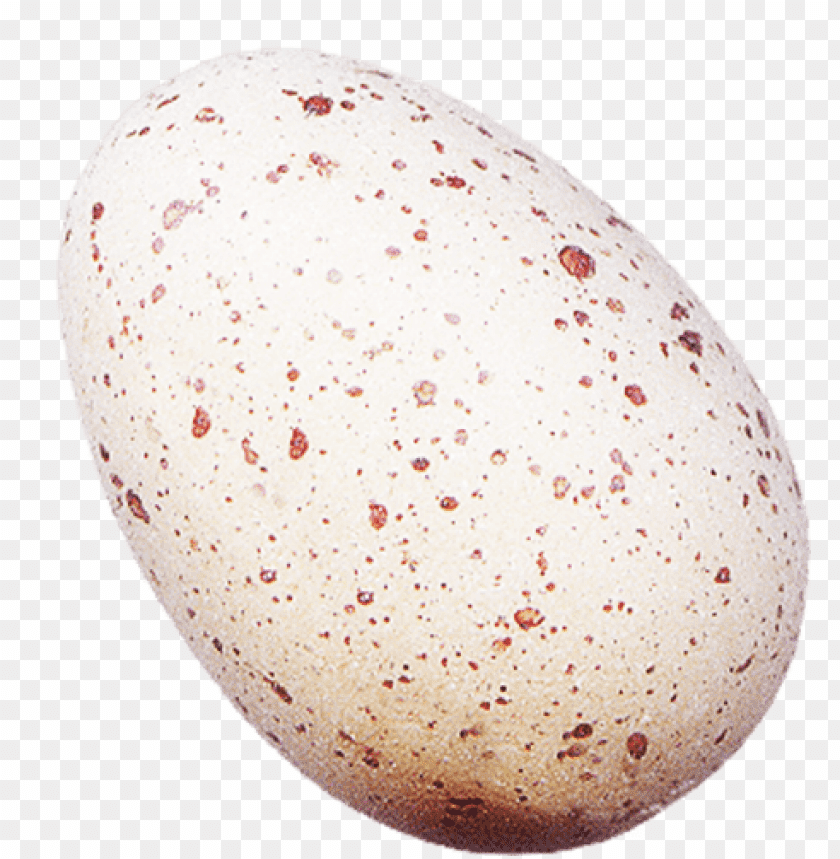 eggs,eggs free png,eggs png free,eggs png free,eggs free png,eggs png,eggs images png