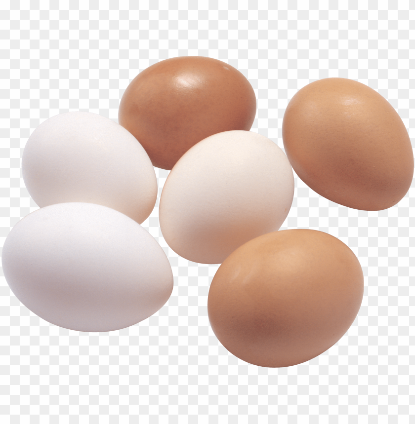 
eggs
, 
eggshell
, 
egg white
, 
egg yolk
