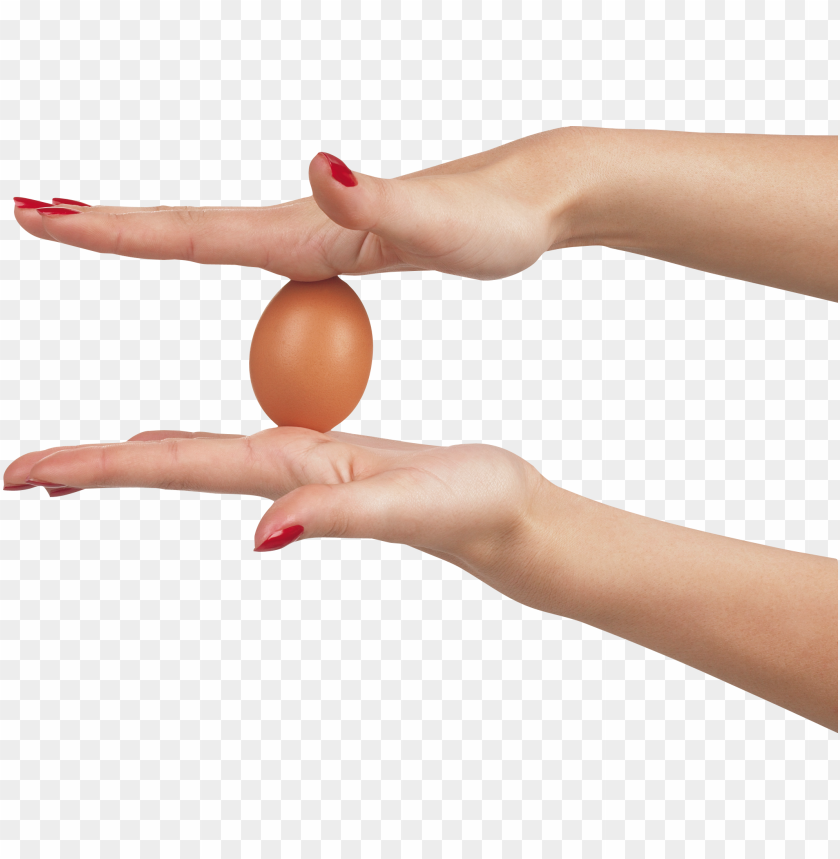 eggs, food, eggs food, eggs food png file, eggs food png hd, eggs food png, eggs food transparent png