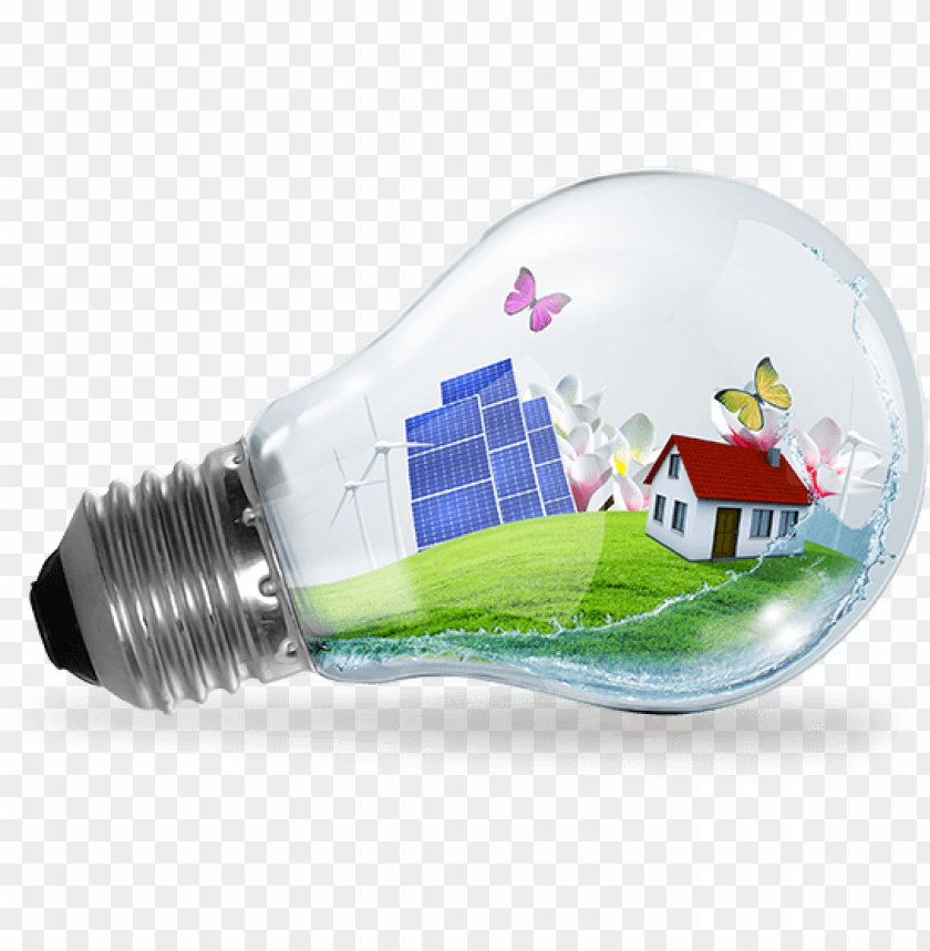 light bulb, nature, eco-friendly, renewable energy, garden, butterflies, solar panels