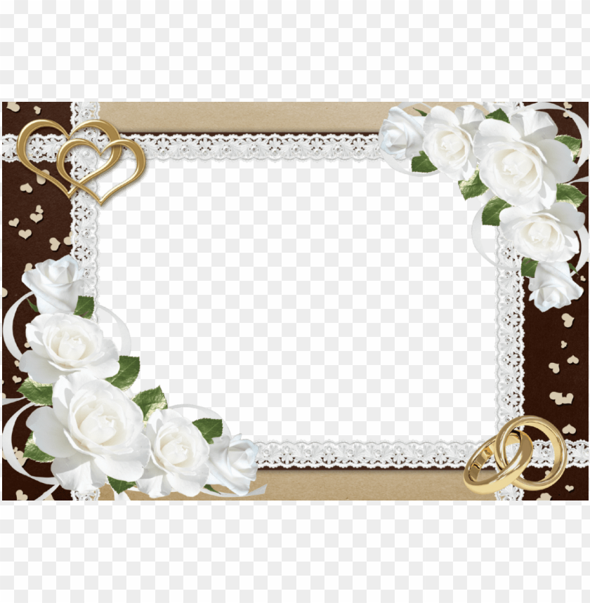 elegant transparent frames, elegant,transparent,frames,transpar,frame,eleg