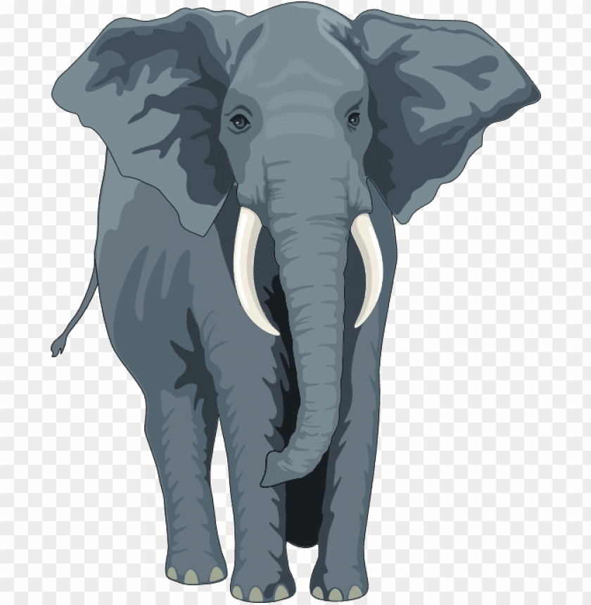 elephant, elephant silhouette, baby elephant, republican elephant, elephant clipart, elephant head