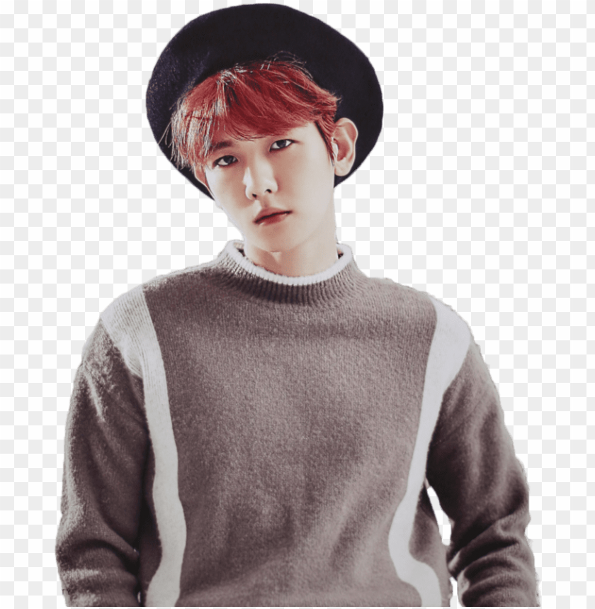 baekhyun, class of 2017, exo, happy new year 2017, exo logo