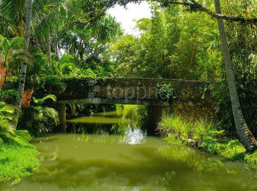 nature, tranquil river, stone bridge, green foliage, lush vegetation, tropical landscape, serene water