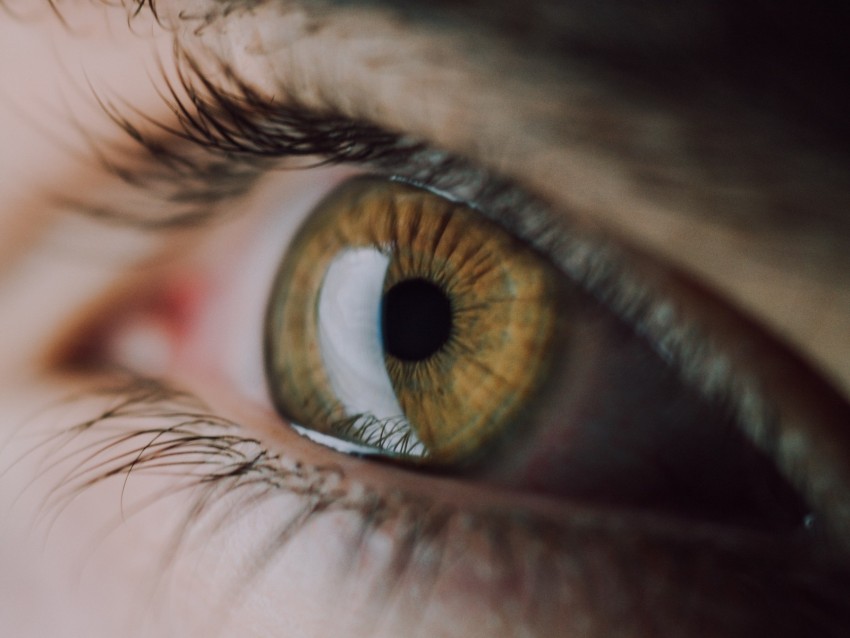 eye, eyelashes, pupil, macro