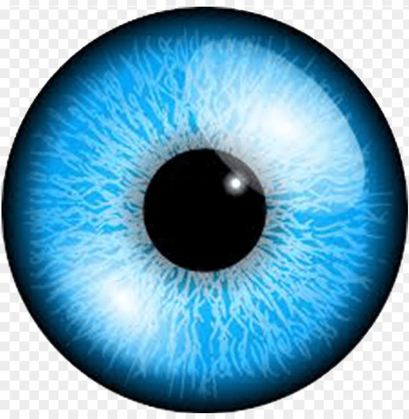 
eyes
, 
organs of the visual system
, 
organisms vision
, 
optical system
, 
light
, 
focuses
, 
lens
