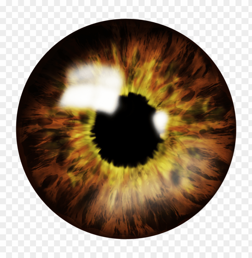 eye png, eye,png