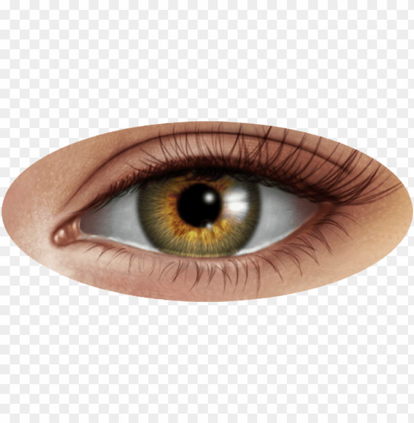 eye png, eye,png