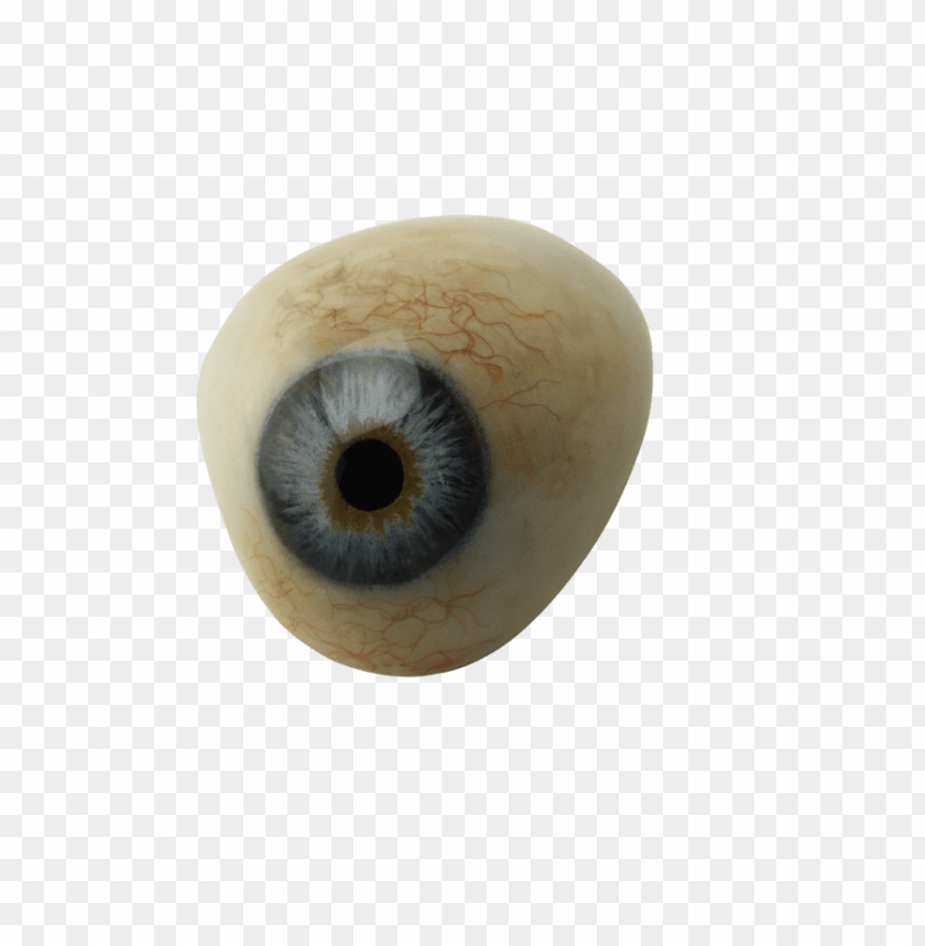 eye png, eye,png