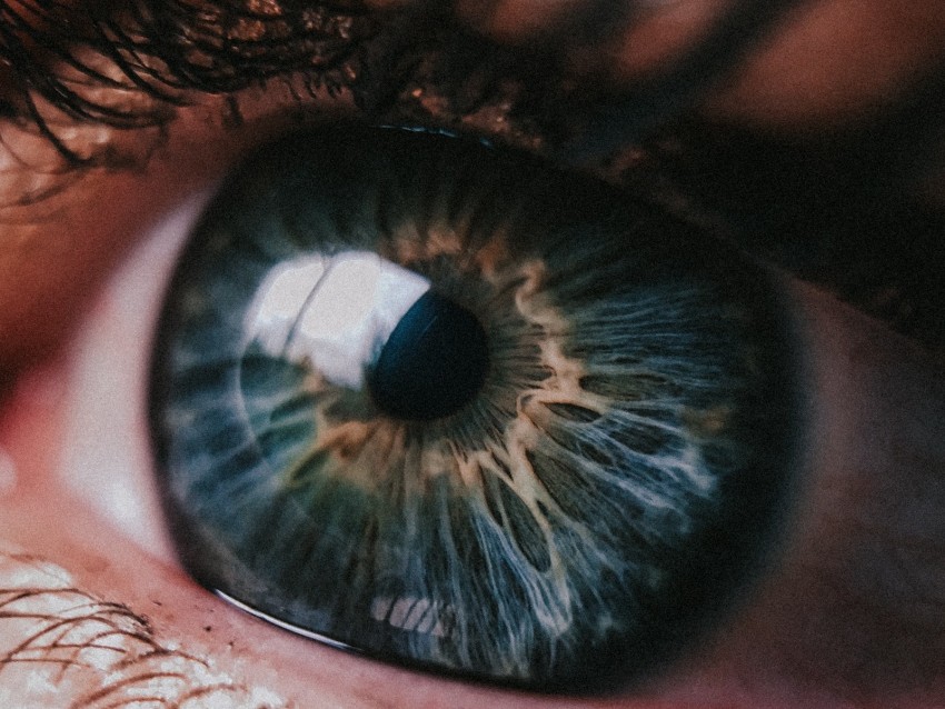 Eye Pupil Closeup Highlight Eyelashes Eyelids Background