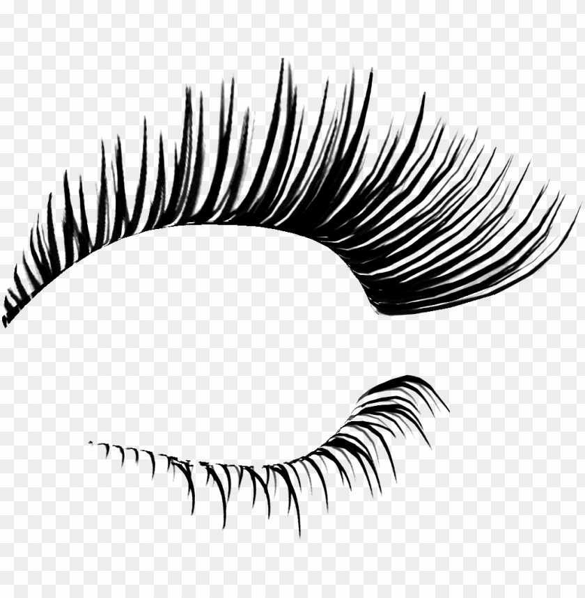 eyelash png, eyelash,png