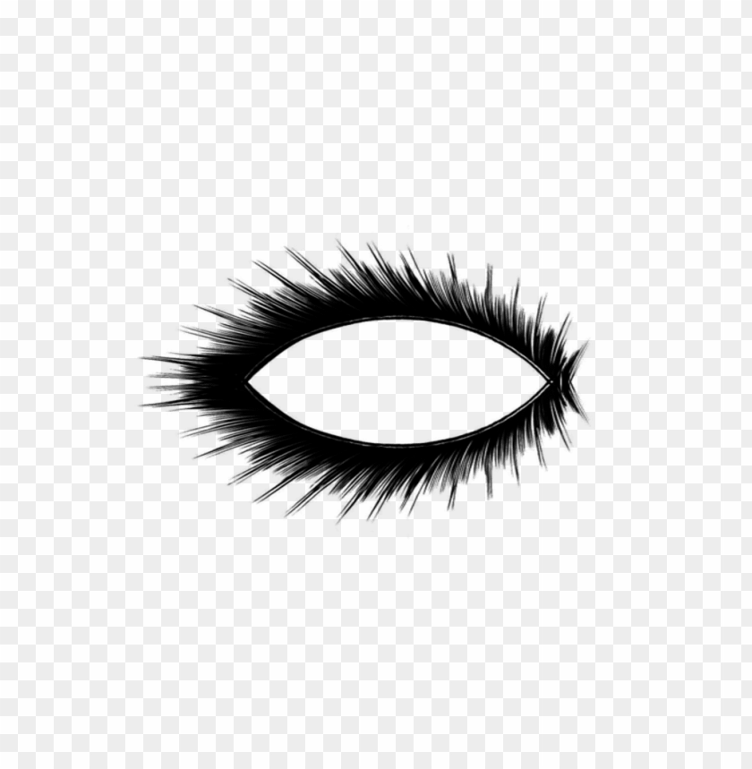 eyelash png, eyelash,png