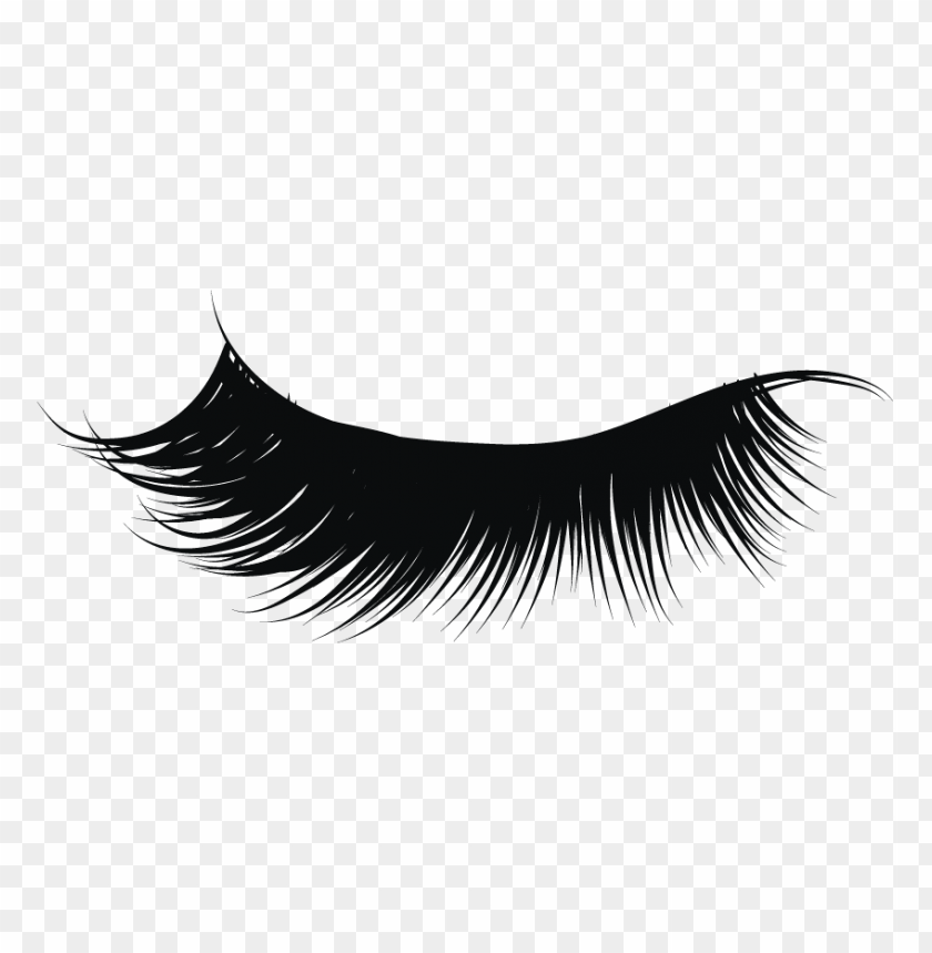 eyelash png, eyelash,png