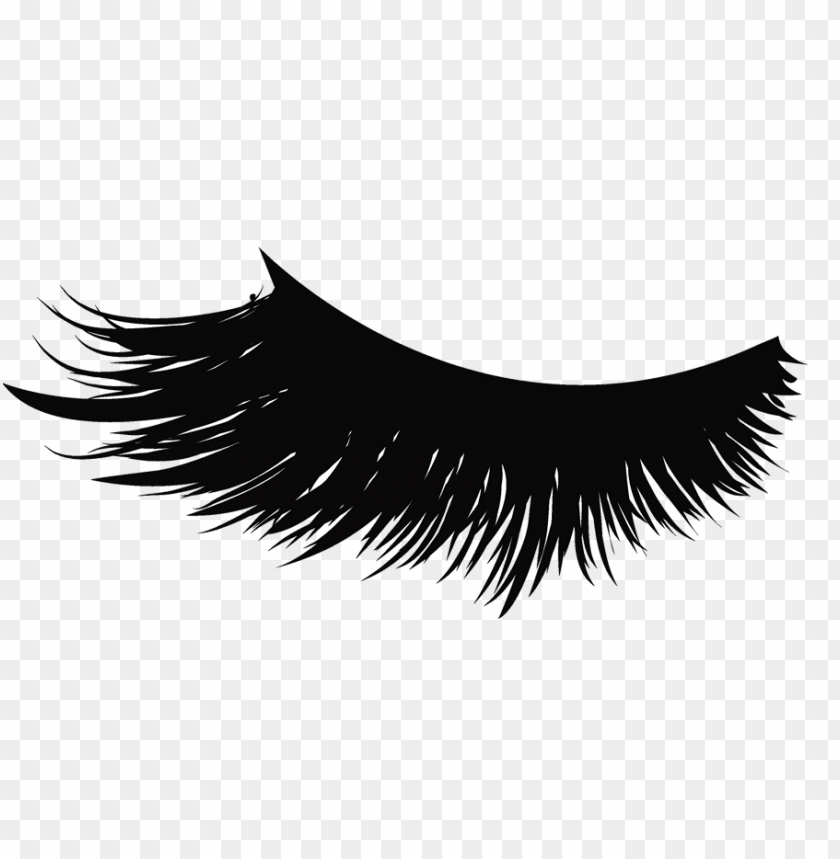 eyelash png, eyelash,png