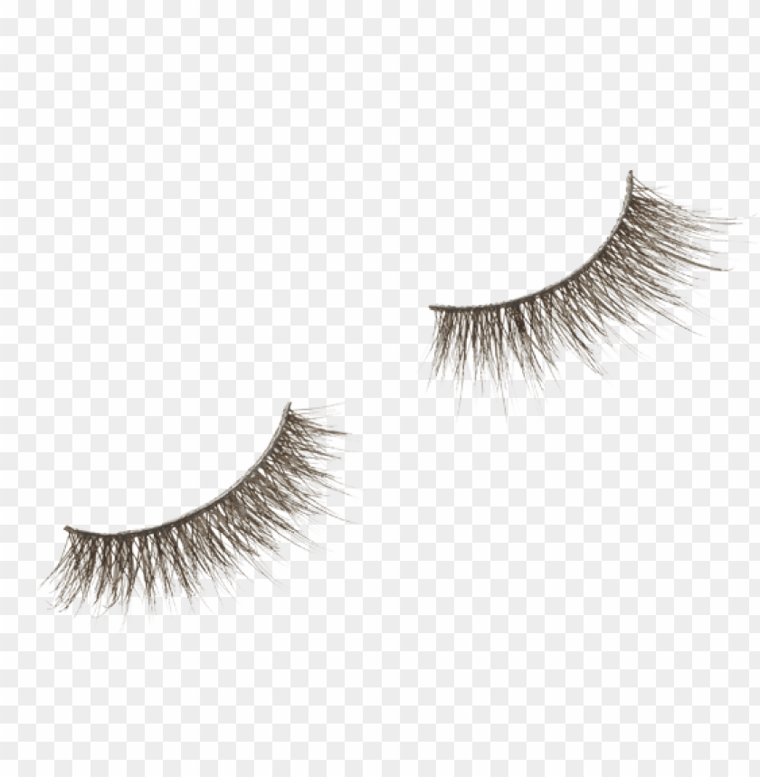 false eyelashes, cosmetic accessories, beauty products, makeup tools, lash extensions, eye makeup, fashion accessories