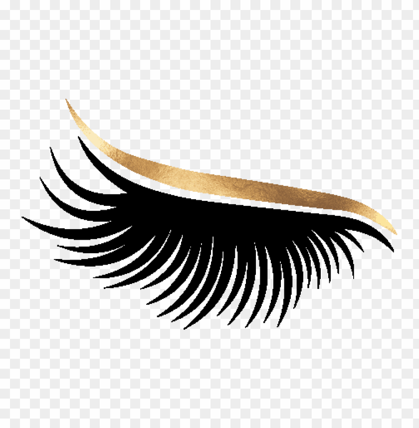 eyelash, beauty, cosmetics, makeup, false lashes, eye embellishments, luxurious lashes