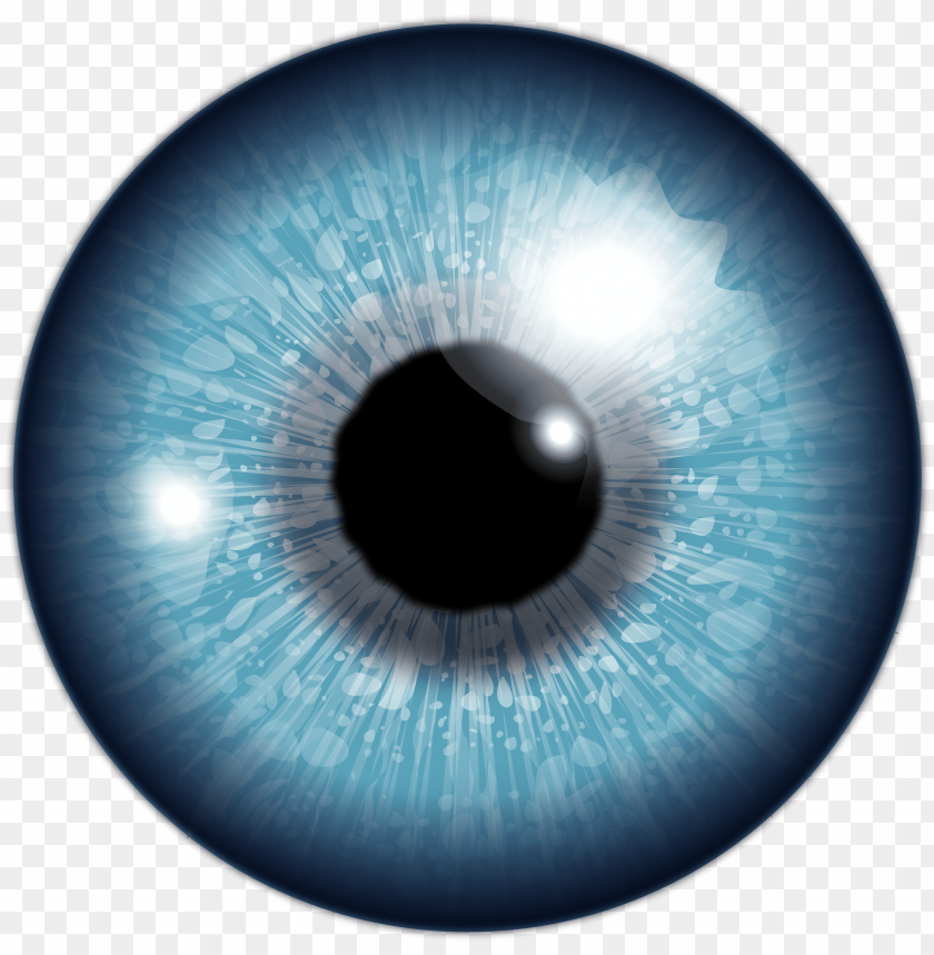 
eyes
, 
organs of the visual system
, 
organisms vision
, 
optical system
, 
light
, 
focuses
, 
lens
