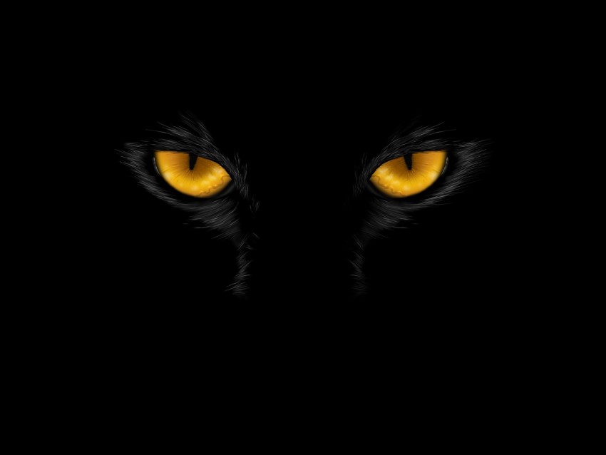 black cat, glowing eyes, nocturnal creature, animal close-up, mysterious allure