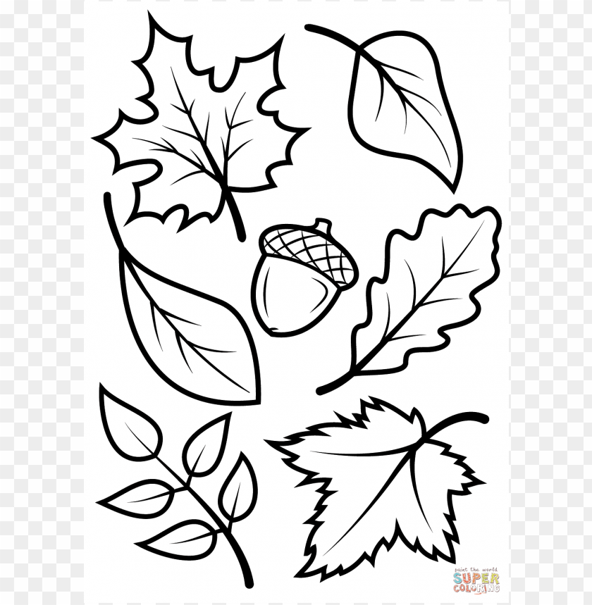 fall colors coloring sheet, fall,colors,color,fallcolor,sheet,coloring