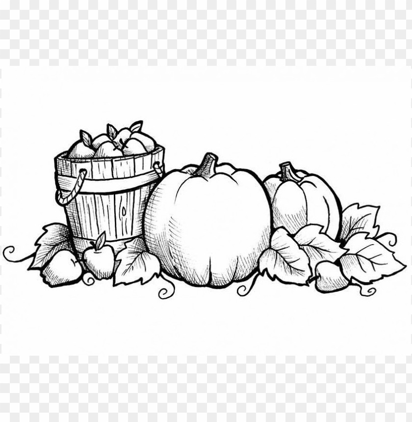 fall colors coloring sheet, fall,colors,color,fallcolor,sheet,coloring