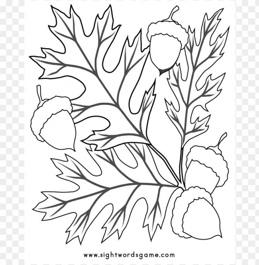 fall colors coloring sheet, fall,colors,color,fallcolor,sheet,coloring