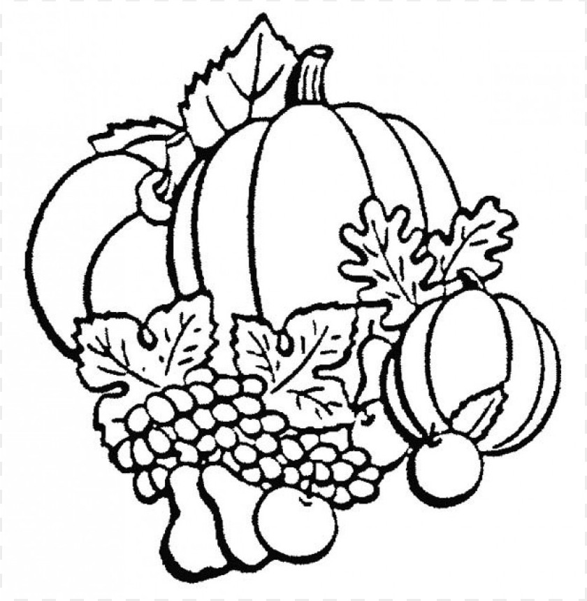 fall colors coloring sheet, fall,allcolors,fallcolors,sheet,colors,color