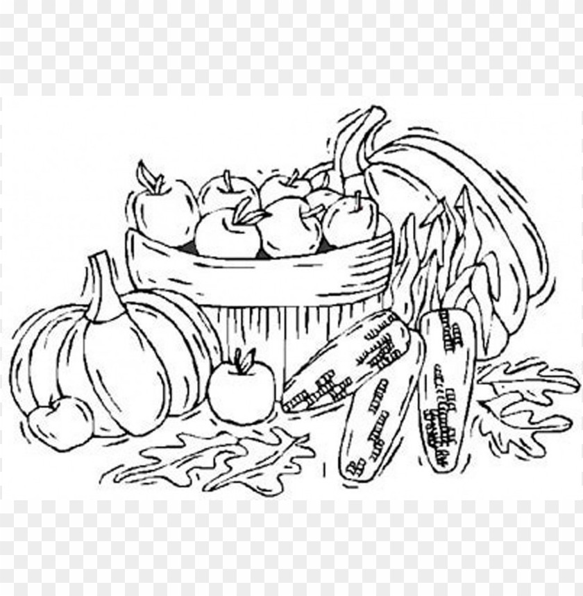 fall colors coloring sheet, fall,allcolors,fallcolors,sheet,colors,color