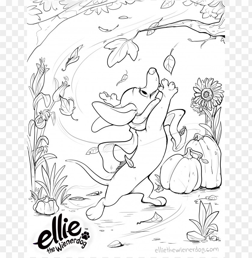 fall colors coloring sheet, color,sheet,fallcolors,colors,fallcolor,coloring