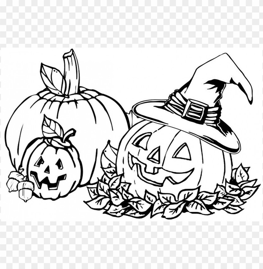 fall colors coloring sheet, color,sheet,fallcolors,colors,fallcolor,coloring