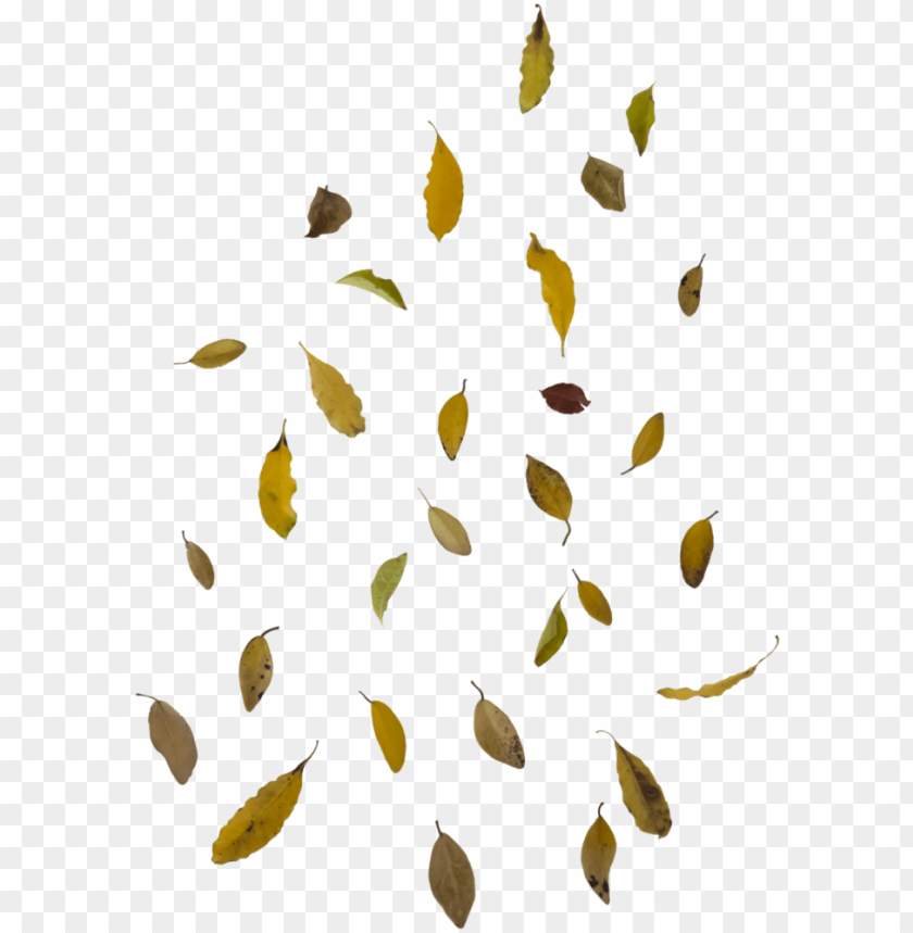 leaf crown, falling rain, snowflakes falling transparent, person falling, green leaf, falling snow