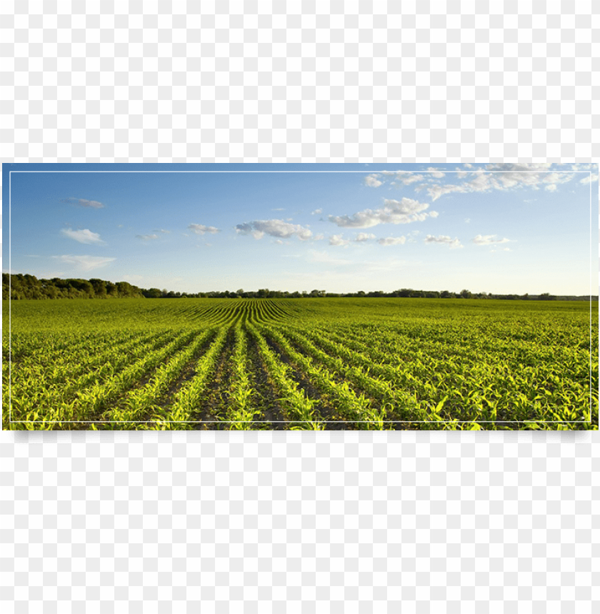 farmland png, png,farmland