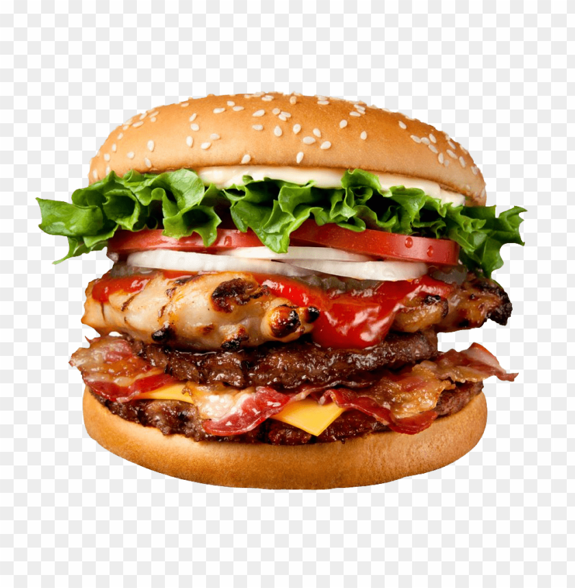 
burger
, 
fast food
, 
ham
, 
meat
, 
fast food burger
, 
mc donalds
, 
burger king
