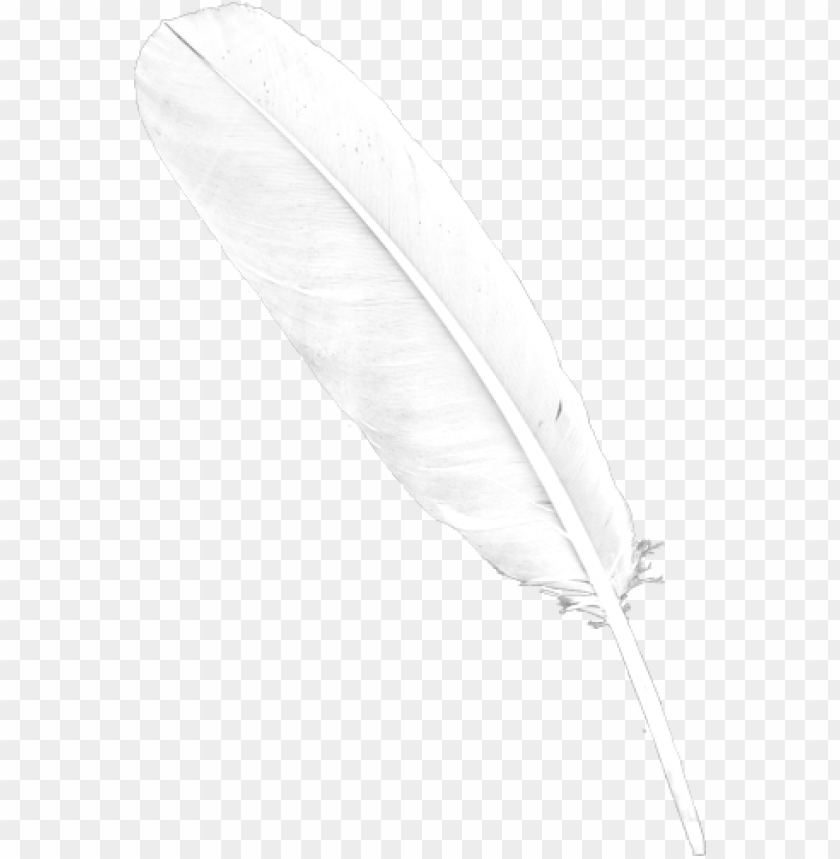 A single white feather on a transparent background PNG