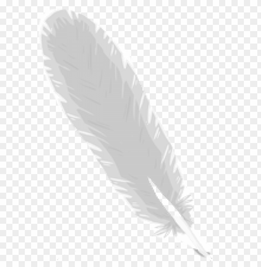 feather png,feather,feather transparent background,feather file png,feather clipart,feather png images,feather png clipart