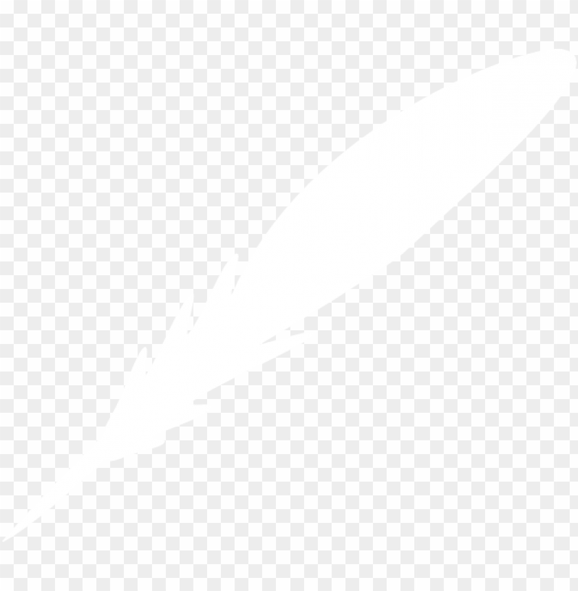 A stylized white feather on a transparent background PNG