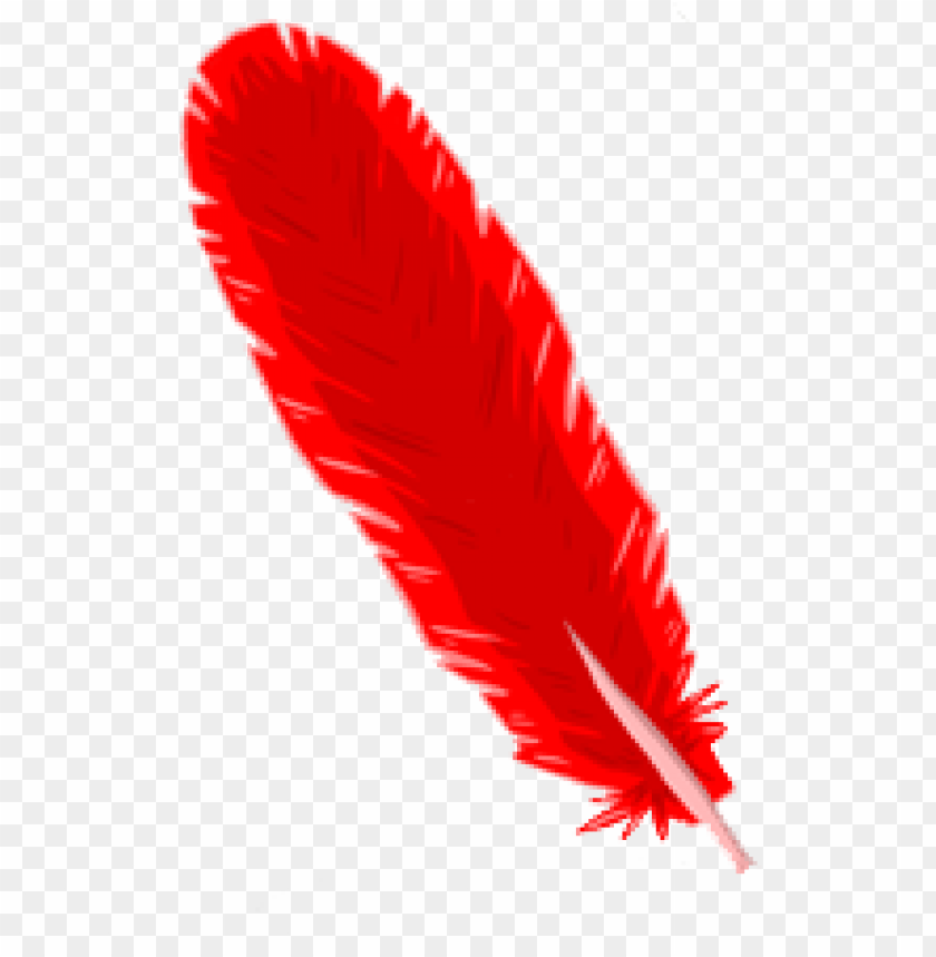 A vibrant red feather with detailed texture on a transparent background PNG