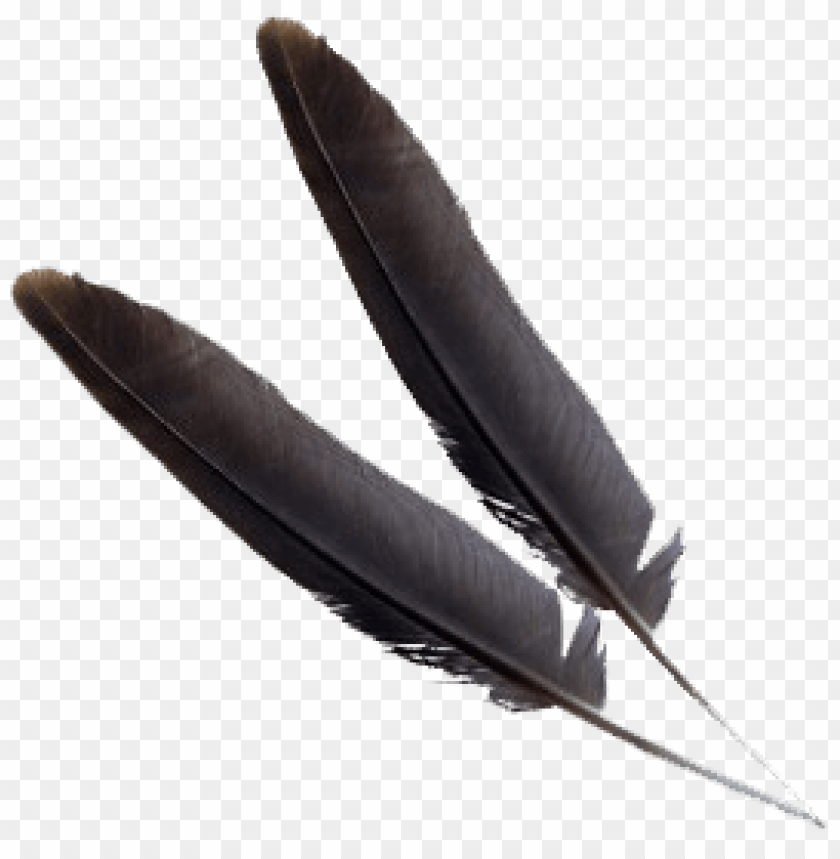 Two black feathers on a transparent background PNG