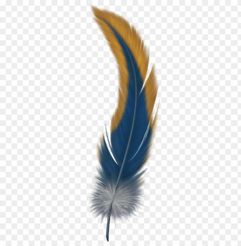 feather png,feather,feather transparent background,feather file png,feather clipart,feather png images,feather png clipart