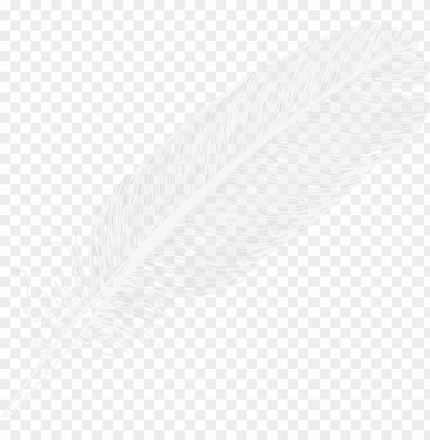 feather png,feather,feather transparent background,feather file png,feather clipart,feather png images,feather png clipart