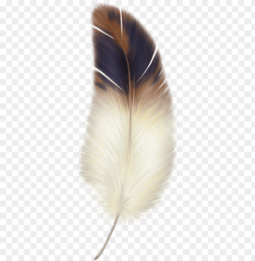 feather png,feather,feather transparent background,feather file 

png,feather clipart,feather png images,feather png clipart