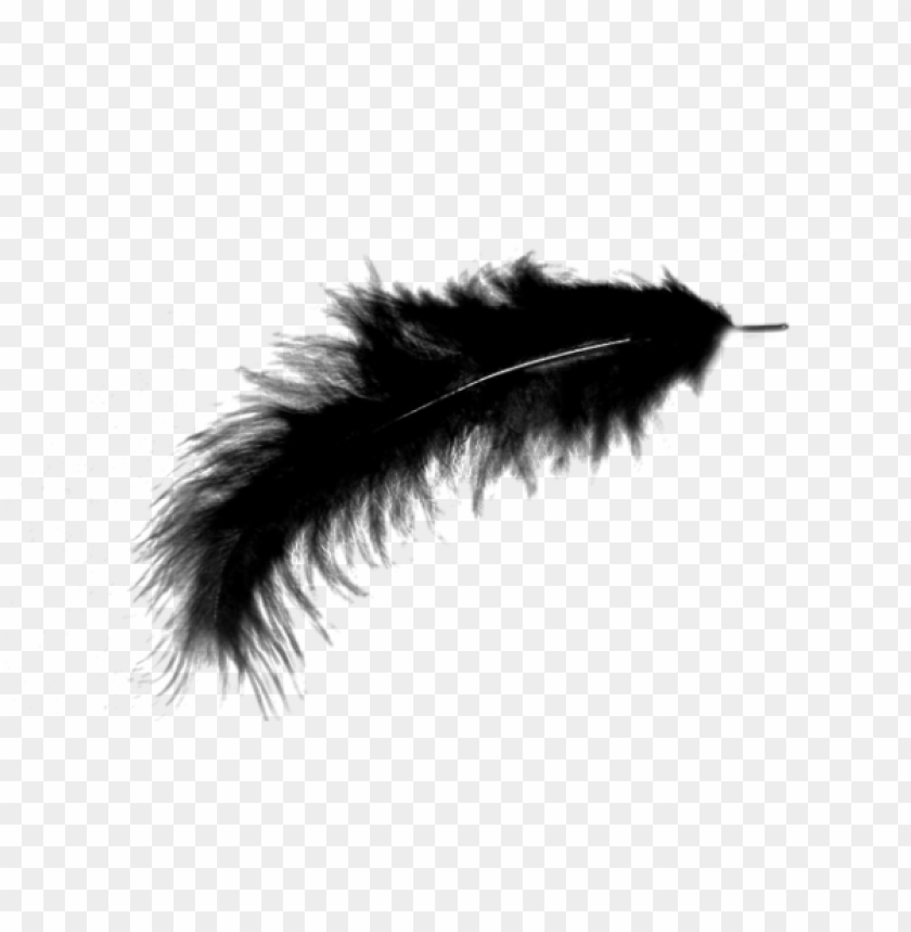 feather png,feather,feather transparent background,feather file 

png,feather clipart,feather png images,feather png clipart